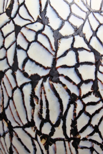 Ermanno Toso & Vittorio Ferro Murrine “Avorio e Nerox” Vase Murano