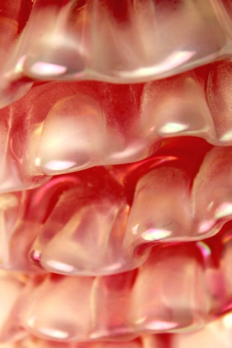 <em><b>Flavio Poli</b><br />Dove with ruffled Feathers<br/>Italy 1940</em> Flavio Poli a Dove with ruffled Feathers Italy 1940