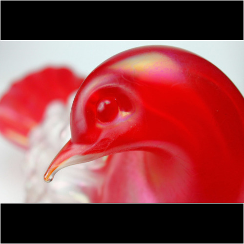 <em><b>Flavio Poli</b><br />Dove with ruffled Feathers<br/>Italy 1940</em> Flavio Poli a Dove with ruffled Feathers Italy 1940