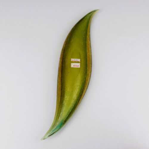 seguso vetri d arte murano glass leaf bowl corroso green yellow pauly and c