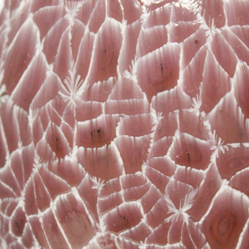 rmanno Toso (design), Vittorio Ferro (executed), murrine vase c. 1995. Hand blown glass vase in baluster form. Made of closely fused opaque-wine-red murrine with opaque-white border, very complex handwork. Inside layer of colorless glass. 1211122 vittorio ferro murano glass vase murrine ermanno toso